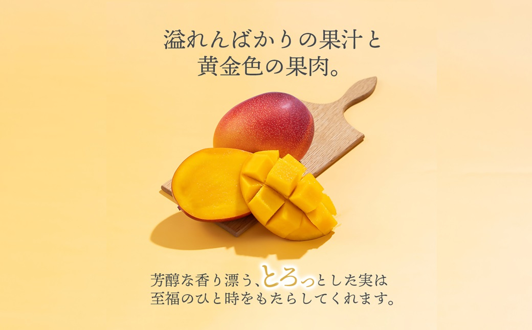 フルーツ専門店『南国フルーツ』厳選宮崎完熟マンゴー 3玉（計750ｇ）宮崎県西都市産＜73-4a＞