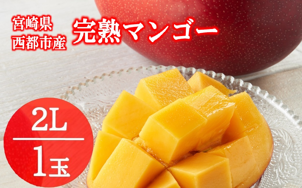 フルーツ専門店『南国フルーツ』厳選宮崎完熟マンゴー2Lサイズ1玉(宮崎県西都市産)＜73-1a＞