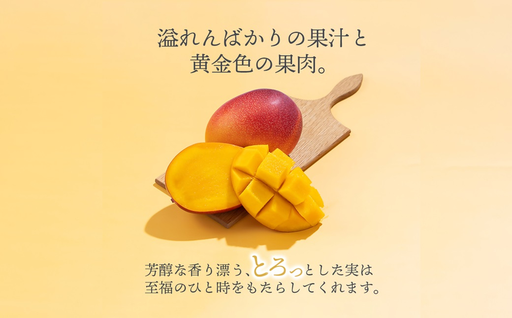 ãã«ãŒãå°éåºãååœãã«ãŒããå³éžå®®åŽå®çãã³ãŽãŒ2ç(èš500g)å®®åŽç西éœåžç£ïŒ73-2aïŒ