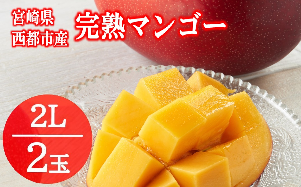 フルーツ専門店『南国フルーツ』厳選宮崎完熟マンゴー2Lサイズ2玉 宮崎県西都市産＜73-3a＞