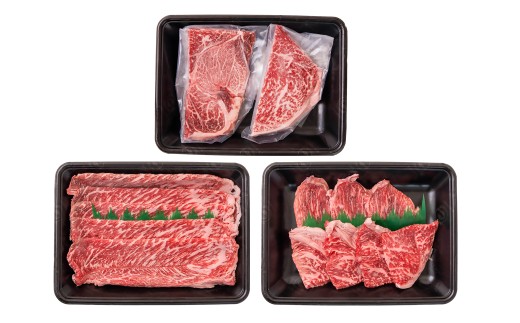 宮崎牛 赤身堪能セット 計600g 小分け200g×3 ブランド牛 A４～A5等級 内閣総理大臣賞4連覇＜58-12a＞Y