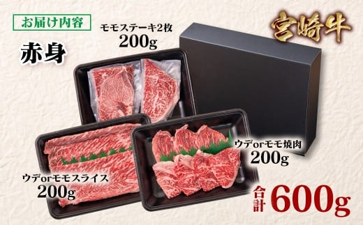 宮崎牛 赤身堪能セット 計600g 小分け200g×3 ブランド牛 A４～A5等級 内閣総理大臣賞4連覇＜58-12a＞Y
