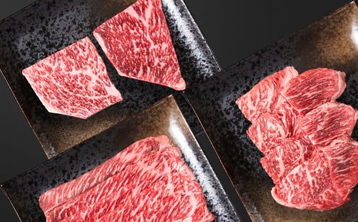 宮崎牛 赤身堪能セット 計600g 小分け200g×3 ブランド牛 A４～A5等級 内閣総理大臣賞4連覇＜58-12a＞Y