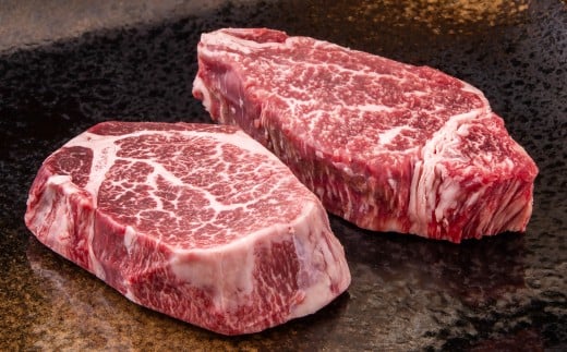 宮崎牛 ヒレステーキ2枚  A４～A5等級 内閣総理大臣賞4連覇＜2.2-12＞Y 赤身 ステーキ