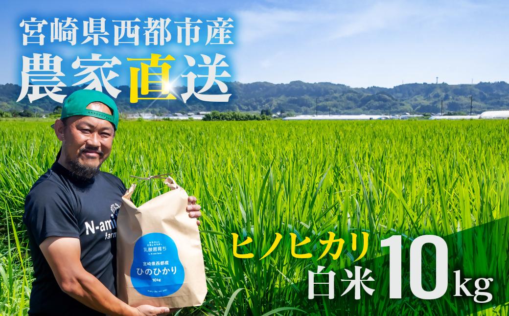 【令和8年産新米・先行予約】農家直送 ヒノヒカリ 10kg 精米済み 10月より発送開始＜57-4a＞
