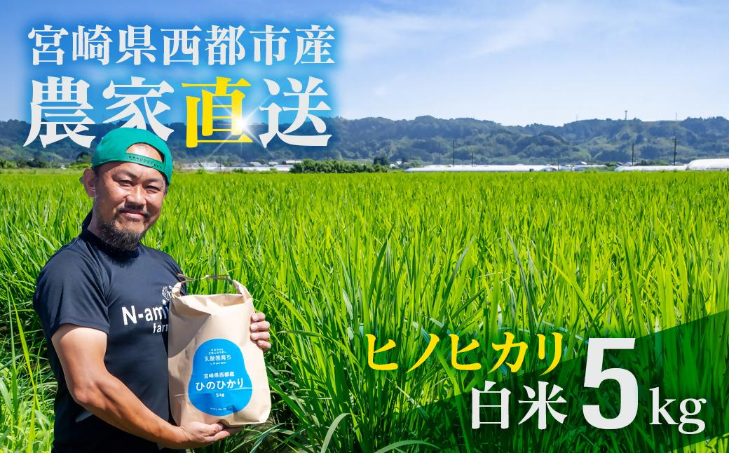 【令和8年産新米・先行予約】農家直送 ヒノヒカリ 5kg 精米済み 10月より発送開始＜57-2a＞