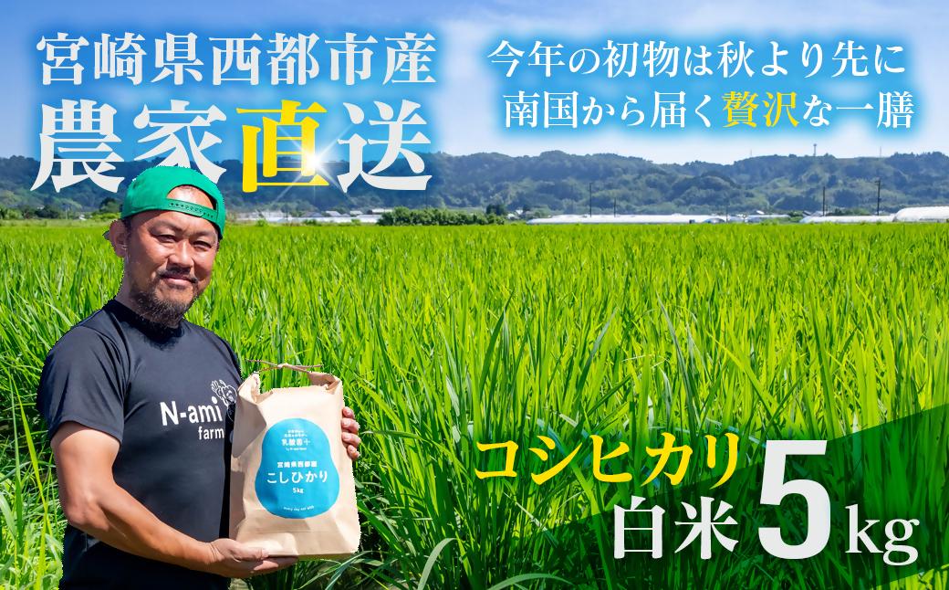 【令和8年産新米・先行予約】農家直送　こしひかり 5kg  精米済み 8月より発送開始＜57-1a＞