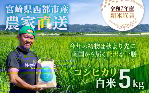 【令和7年産新米・先行予約】こしひかり 5kg ※8月上旬以降順次発送予定 精米済み 新米 こしひかり お米 精米 5キロ 米 ライス こめ おこめ ＜1.3-20＞