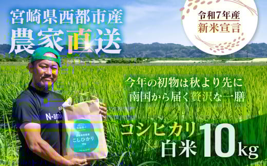 【令和7年産新米・先行予約】こしひかり 10kg ※8月上旬以降順次発送予定 精米済み 新米 こしひかり お米 精米 10キロ 米 ライス こめ おこめ 10kg＜2.4-8＞
