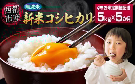 8月発送開始【5ヶ月定期便】 新米コシヒカリ無洗米 5kg×5 合計25kg 令和7年産 8月～12月発送 宮崎県西都市産＜8.5-7＞こしひかり 精米 白米 お米【8月4日終了】