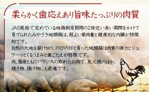 【お中元ギフト】ブランド「じとっこ」地鶏炭火焼 みやざき地頭鶏炭火焼 小分け 5パックセット＜50-1a＞
