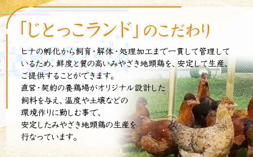【お中元ギフト】ブランド「じとっこ」地鶏炭火焼 みやざき地頭鶏炭火焼 小分け 5パックセット＜50-1a＞