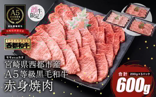 【最高品質のA5等級 西都和牛】黒毛和牛赤身焼肉 600g（200g×3） カミチクファーム＜1.4-6＞