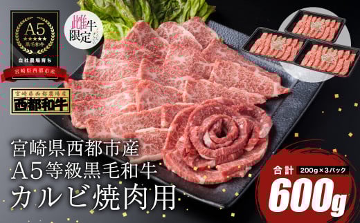 【最高品質のA5等級 西都和牛】黒毛和牛カルビ焼肉600g 小分け カミチクファーム＜1.9-5＞