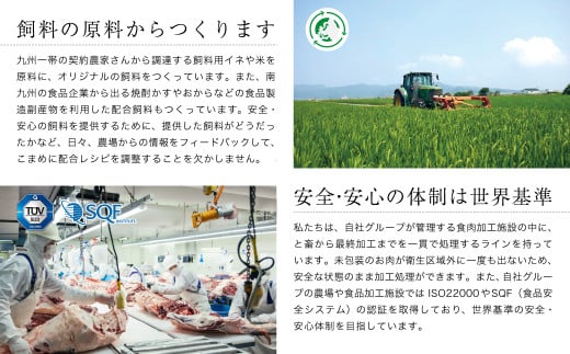 【最高品質のA5等級 西都和牛】黒毛和牛カルビ焼肉600g 小分け カミチクファーム＜1.9-5＞