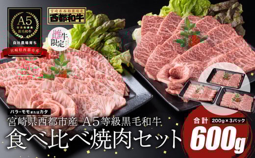 【最高品質のA5等級 西都和牛】黒毛和牛食べ比べ焼肉セット 600g（200ｇ×3） 赤身・カルビ 小分け 宮崎県産 カミチクファーム＜1.7-35＞