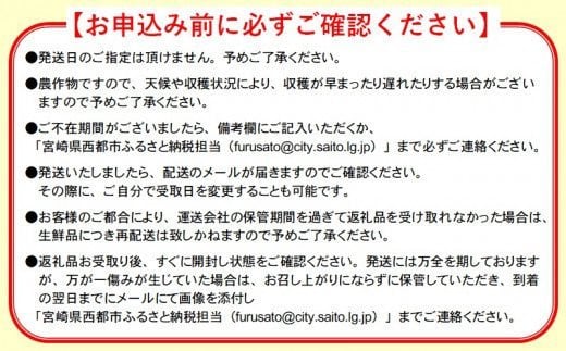 今が旬！【マンゴー専門 山下果樹園】ご家庭用完熟マンゴー 1kg 3~5個 アップルマンゴー  宮崎県西都産 生産者直送＜1.5-25＞宮崎マンゴー【6月30日】終了