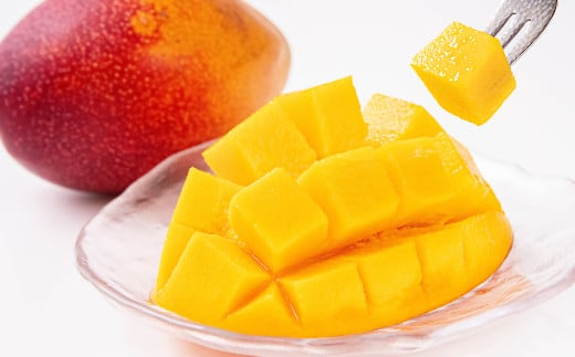 今が旬！【マンゴー専門 山下果樹園】ご家庭用完熟マンゴー 1kg 3~5個 アップルマンゴー  宮崎県西都産 生産者直送＜1.5-25＞宮崎マンゴー【6月30日】終了