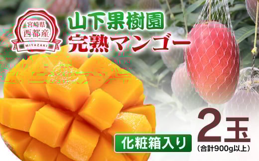 【マンゴー専門 山下果樹園】完熟マンゴー 2玉 900g以上 アップルマンゴー 宮崎県西都産 生産者直送＜1.8-17＞宮崎マンゴー【先行予約】
