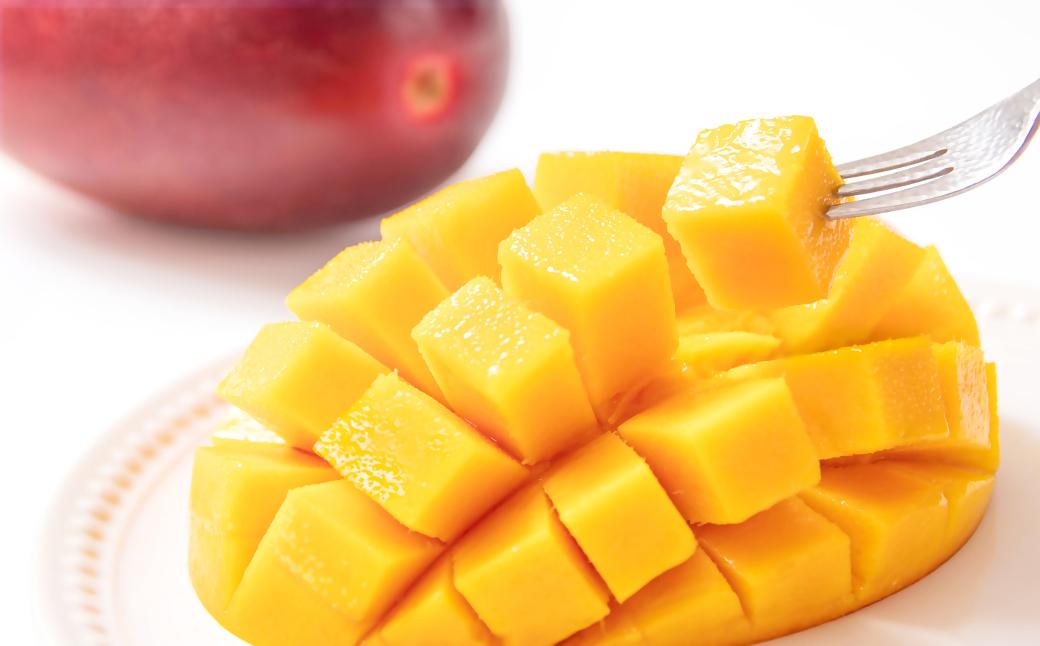 【マンゴー専門 山下果樹園】完熟マンゴー 2玉 900g以上 アップルマンゴー 宮崎県西都産 生産者直送＜1.8-17＞宮崎マンゴー【先行予約】