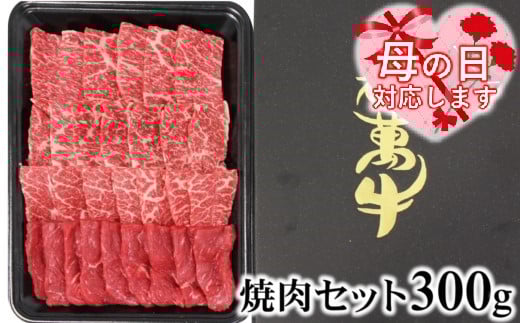 【母の日ギフト】都萬牛 牛肉 黒毛和牛焼肉 300ｇ牛肉 焼肉＜6-4a＞