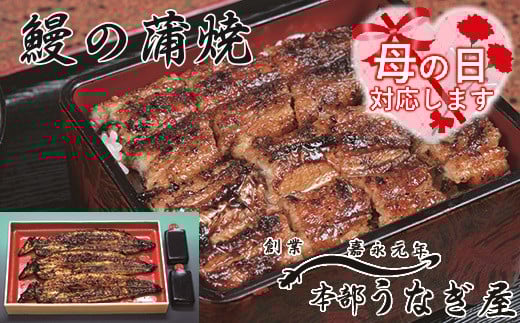 【母の日ギフト】本部うなぎ屋 鰻の蒲焼３尾 国産うなぎ 宮崎 蒲焼 鰻＜12-2a＞