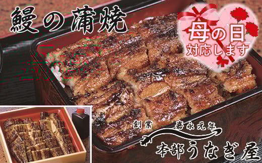 【母の日ギフト】老舗「本部うなぎ屋」鰻の蒲焼　カット済み　国産鰻＜12-1a＞