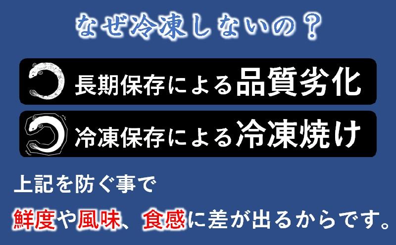 【母の日ギフト】国産うなぎ蒲焼 3尾 炭火焼 炭火の香ばさ際立つ老舗 「うなぎの入船」熟成たれ付 無頭＜13-3a＞