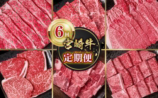 2月発送開始【定期便】宮崎牛 6回定期便 焼肉 すき焼き ステーキ ブランド牛 A４～A5等級 内閣総理大臣賞4連覇＜7-10＞Y