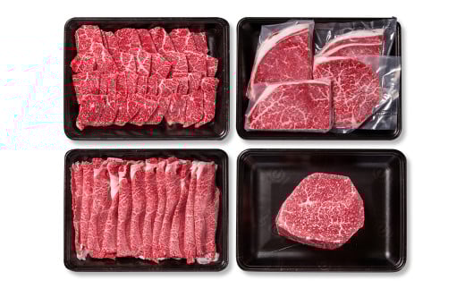 【定期便】宮崎牛  赤身4回定期便 焼肉・ステーキ・スライス・ブロック ブランド牛 A４～A5等級 内閣総理大臣賞4連覇＜58-44a＞