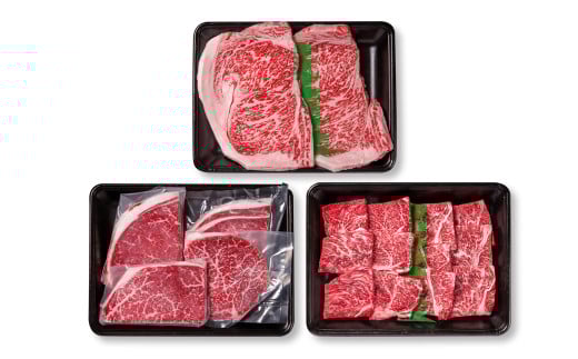 【定期便】宮崎牛  ステーキ・焼肉 3回定期便 ブランド牛 A４～A5等級 内閣総理大臣賞4連覇＜4.3-1＞Y