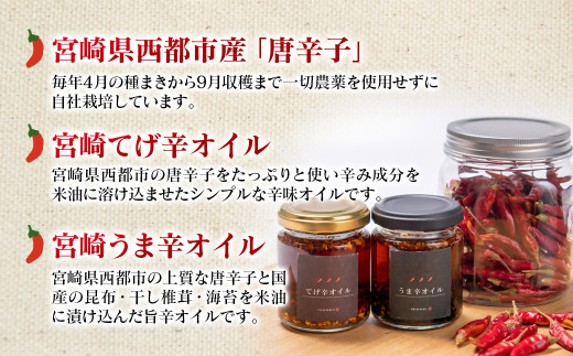 乾燥唐辛子と加工品のセット＜1-51＞調味料 オイル 鷹の爪 米油 国産
