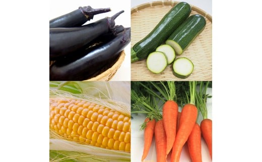 蟲家çŽéæ°é®®éèãšæåããããè©°ãåããã»ããïŒ1-48ïŒâ