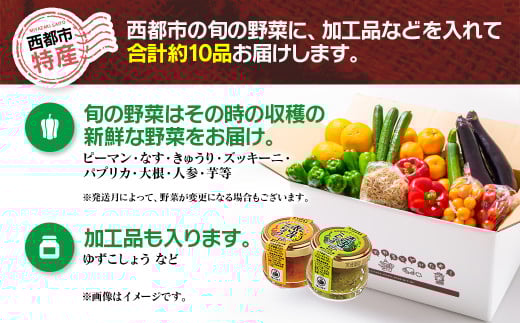 3回定期便 西都市旬の特産詰め合わせセット 野菜・マンゴー・スイートコーン等＜4-4＞野菜 フルーツ【12月31日申し込み終了】