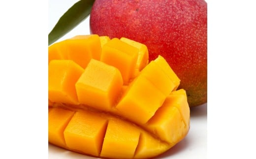 3回定期便 西都市旬の特産詰め合わせセット 野菜・マンゴー・スイートコーン等＜4-4＞野菜 フルーツ【12月31日申し込み終了】