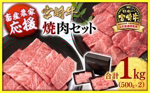2月発送【畜産農家応援】宮崎牛 赤身＆肩ロース 食べ比べ焼肉セット１kg  （500g ×2）4等級以上 ミヤチク 内閣総理大臣賞4連覇＜1.7-40＞牛肉 赤身 焼肉●