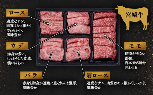 宮崎牛＆宮崎県産豚肉 焼肉10種盛り 食べ比べセット計600g 宮崎牛4等級以上 国産牛 豚肉  ブランド牛 ミヤチク 内閣総理大臣賞4連覇＜47-3b＞●