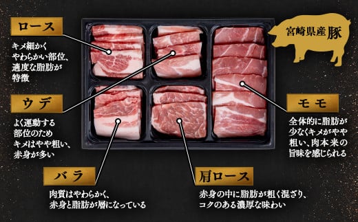 宮崎牛＆宮崎県産豚肉 焼肉10種盛り 食べ比べセット計600g 宮崎牛4等級以上 国産牛 豚肉  ブランド牛 ミヤチク 内閣総理大臣賞4連覇＜47-3b＞●