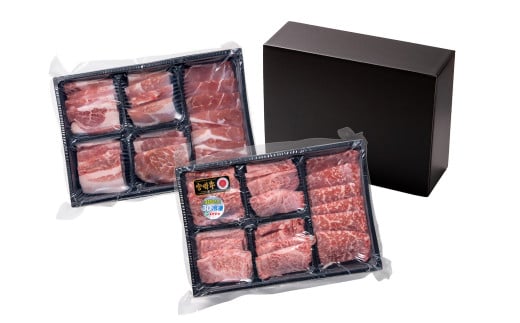 宮崎牛＆宮崎県産豚肉 焼肉10種盛り 食べ比べセット計600g 宮崎牛4等級以上 国産牛 豚肉  ブランド牛 ミヤチク 内閣総理大臣賞4連覇＜47-3b＞●