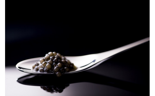 「ジャパンキャビア」MIYAZAKI CAVIAR 1983  20g 国産 宮崎キャビア＜4.5-1＞魚介類 魚卵 三大珍味