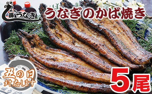 【土用の丑の日】　藤うなぎ かば焼き5尾 国産うなぎ 宮崎 蒲焼 鰻＜15-3a＞