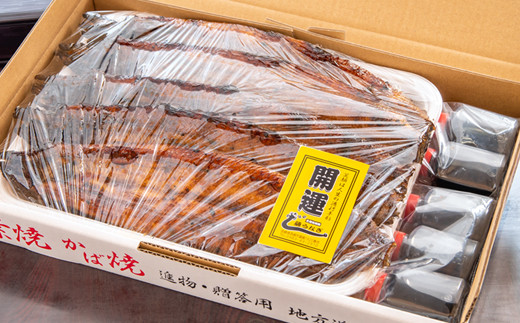 【土用の丑の日】　藤うなぎ かば焼き5尾 国産うなぎ 宮崎 蒲焼 鰻＜15-3a＞