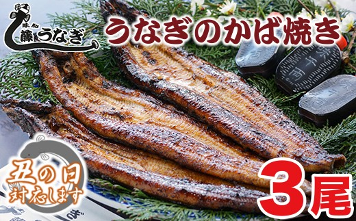 【土用の丑の日】藤うなぎ かば焼き3尾 国産うなぎ 宮崎 蒲焼 鰻＜15-2a＞