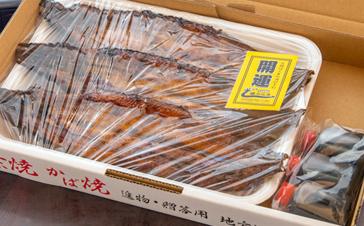 【土用の丑の日】藤うなぎ かば焼き3尾 国産うなぎ 宮崎 蒲焼 鰻＜15-2a＞