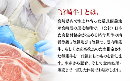 【お中元ギフト】【生産者応援】宮崎牛ロースステーキ2枚 計500g 牛肉 ステーキ 高級部位 ブランド牛 ミヤチク 内閣総理大臣賞4連覇＜47-15b＞