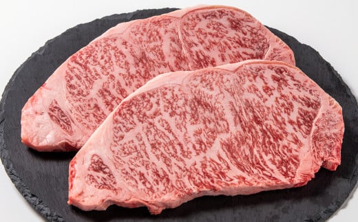 【お中元ギフト】【生産者応援】宮崎牛ロースステーキ2枚 計500g 牛肉 ステーキ 高級部位 ブランド牛 ミヤチク 内閣総理大臣賞4連覇＜47-15b＞