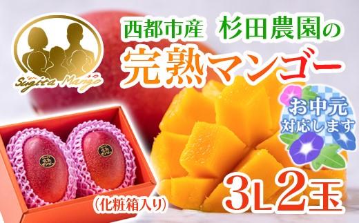 【お中元ギフト】今が旬！【杉田農園】西都市産 完熟マンゴー 2玉  900g~1kg 化粧箱入 生産者直送  宮崎マンゴー ＜38-2a＞ 果物 フルーツ 甘い 残りわずか