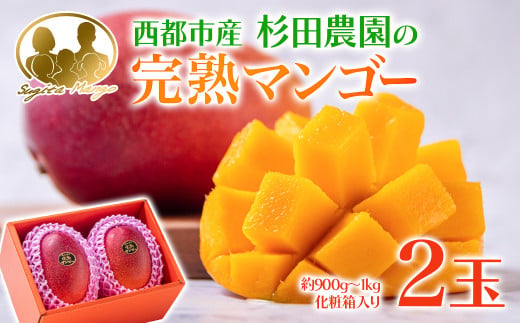 【お中元ギフト】今が旬！【杉田農園】西都市産 完熟マンゴー 2玉  900g~1kg 化粧箱入 生産者直送  宮崎マンゴー ＜38-2a＞ 果物 フルーツ 甘い 残りわずか