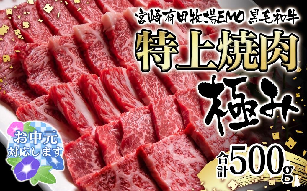 【お中元ギフト】黒毛和牛稀少部位を含む 特上焼肉極み500g 有田牧畜産業ブランドEMO牛 牛肉 焼肉 国産牛肉＜14-13a＞