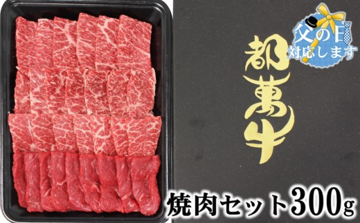 【父の日ギフト】都萬牛 牛肉 黒毛和牛焼肉 300ｇ牛肉 焼肉＜6-4a＞